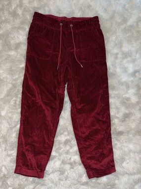 Time and Tru Burgundy Corduroy Jogger Pants